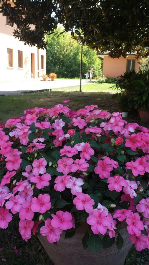 Quo Vadis Qui Vieni Bed and Breakfast Rovigo Eksteriør billede