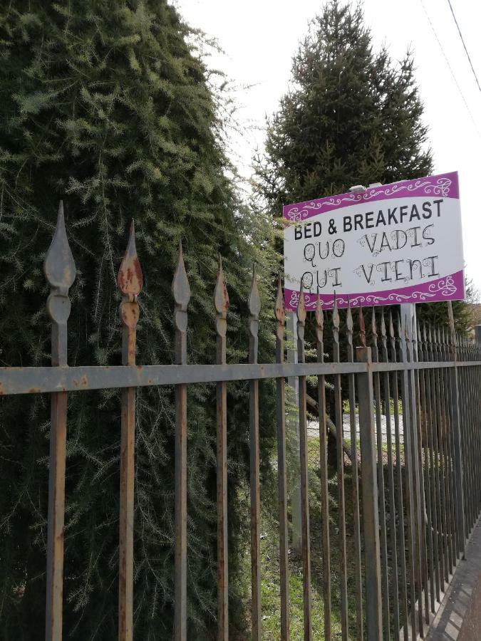 Quo Vadis Qui Vieni Bed and Breakfast Rovigo Eksteriør billede